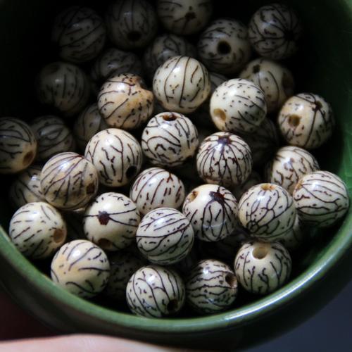 金线菩提