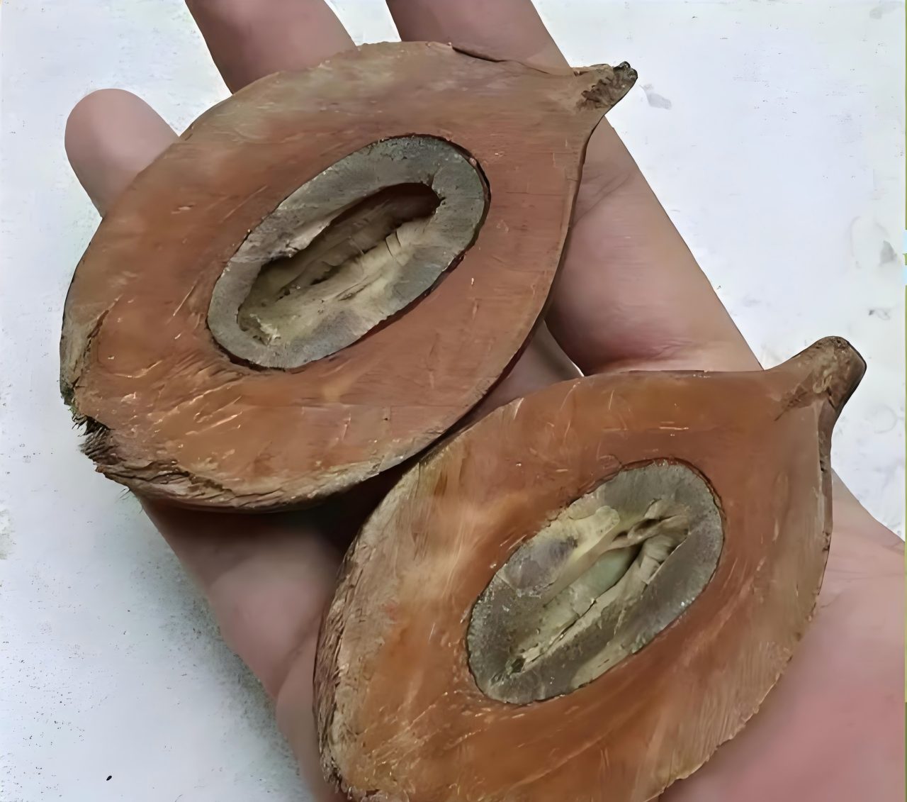 库克