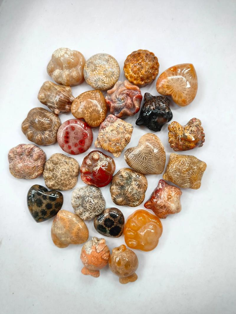 珊瑚玉